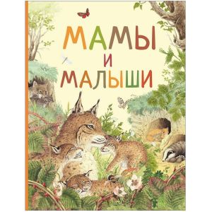 Книжка Мама и малыши Удивительный мир животных 33696